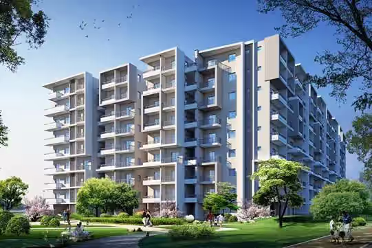 Manbhum Home Tree image