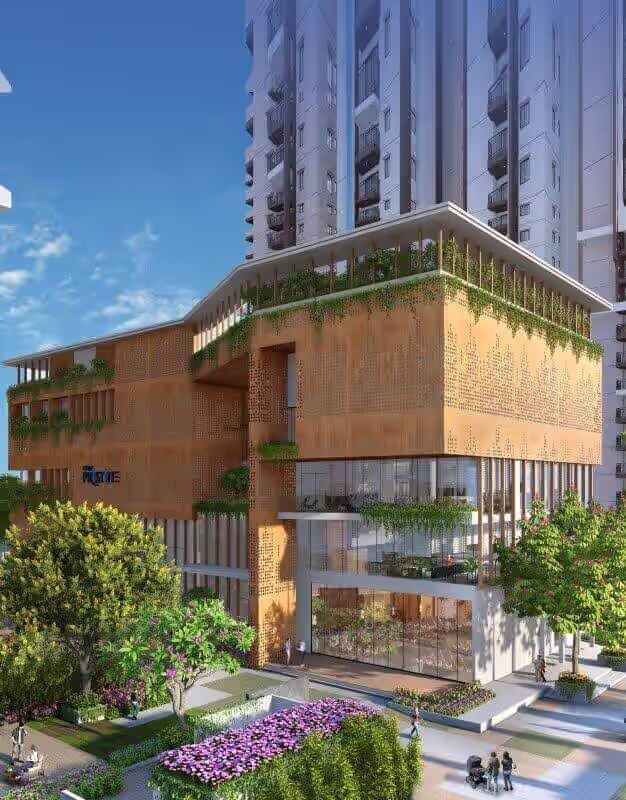 Rajapushpa Pristinia image