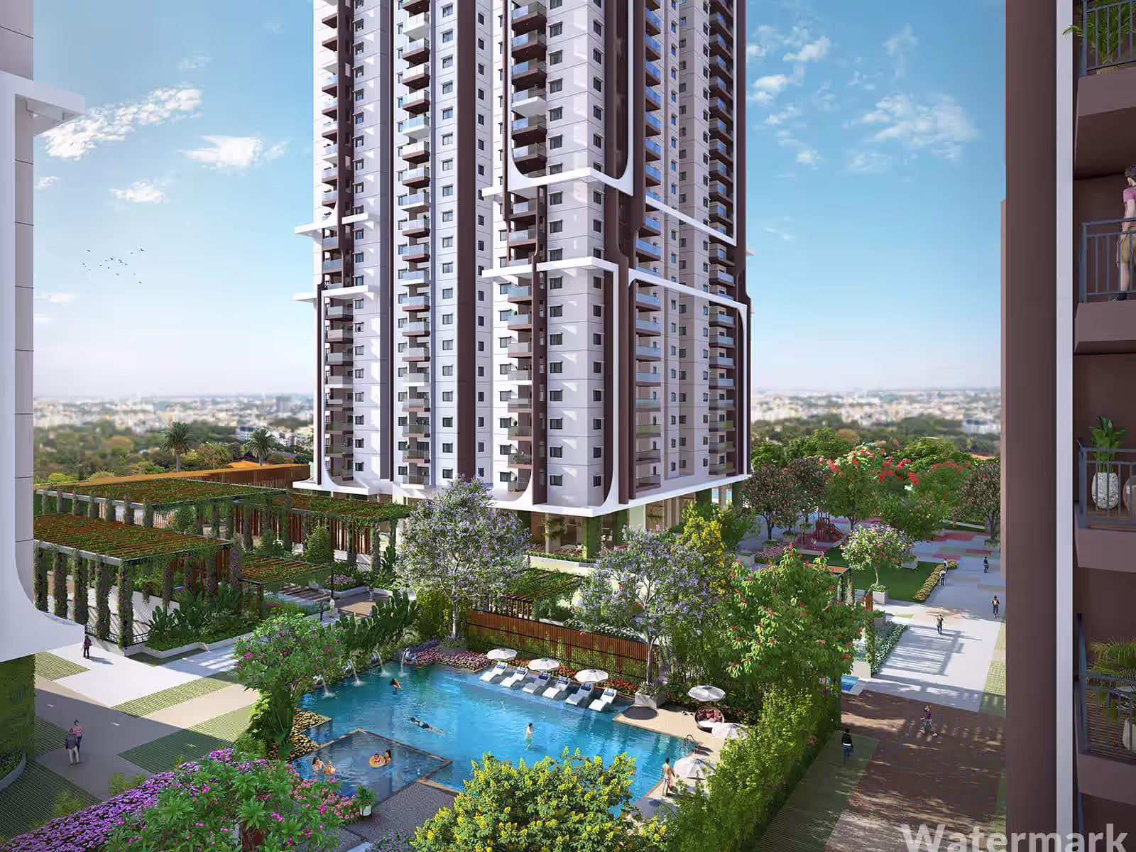 Rajapushpa Pristinia image