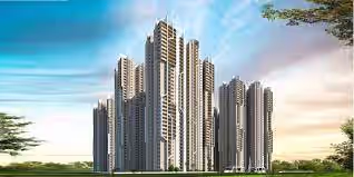 Rajapushpa Aurelia image