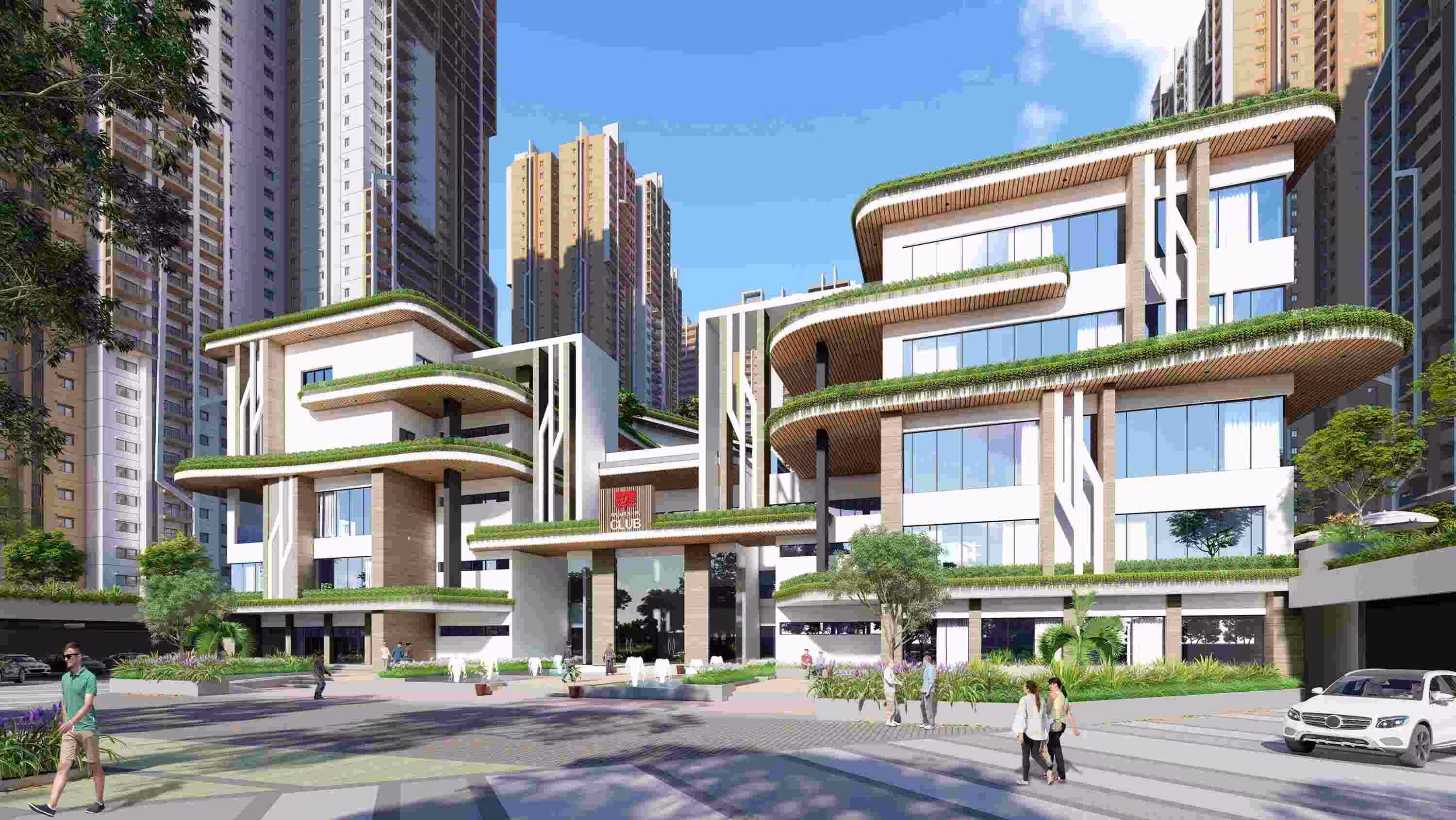 Rajapushpa Aurelia image