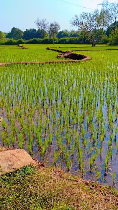 Allikhanpalle image