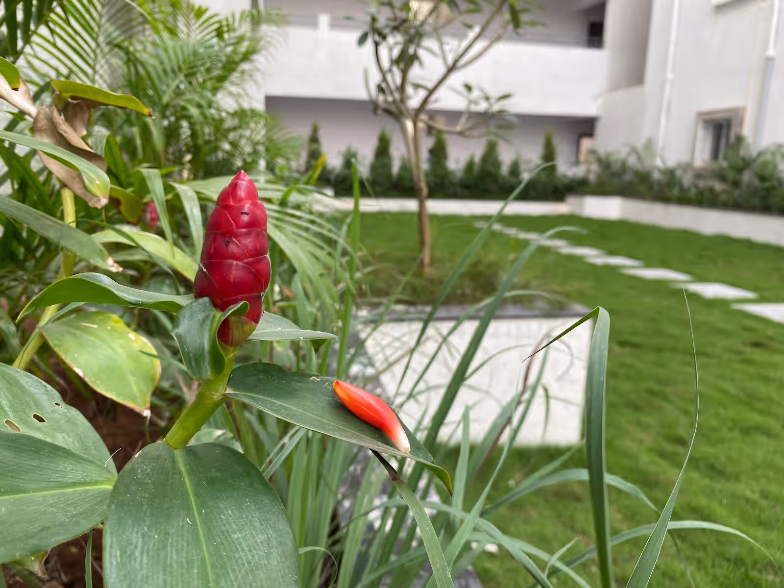 Anuhar Nature Walk image