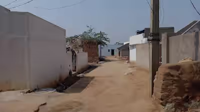 Chinna Revalli image