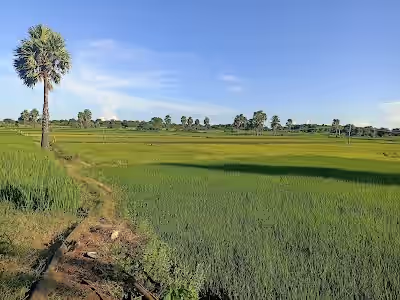 Chintapatla image