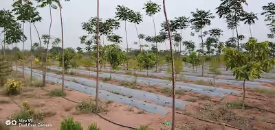 Gouse Nagar image
