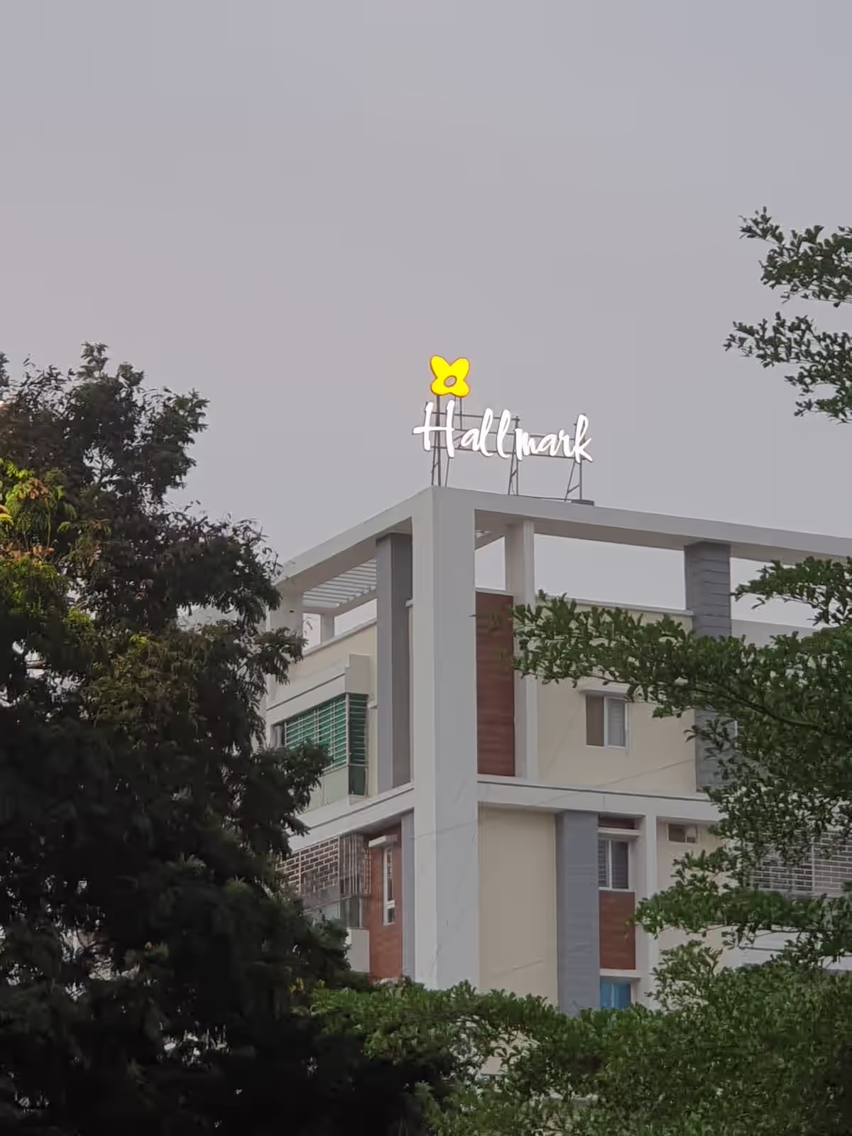 Hallmark Primera The Hub image