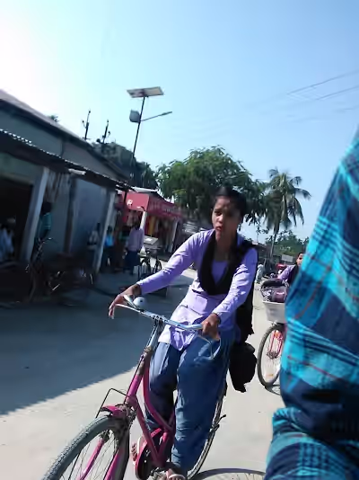 Hamidullanagar image
