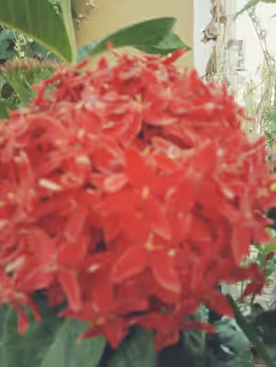 Ismailkhanguda image