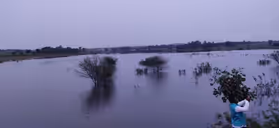 Kandivanam image