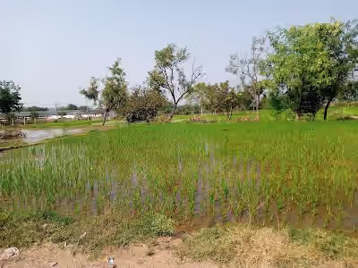 Karnamguda image