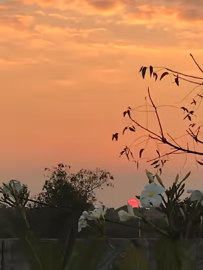 Kasimbowli Village image