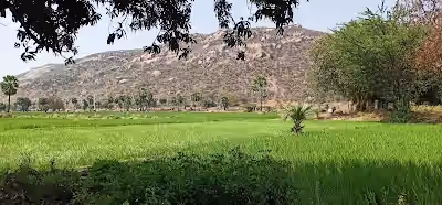 Loyapally image