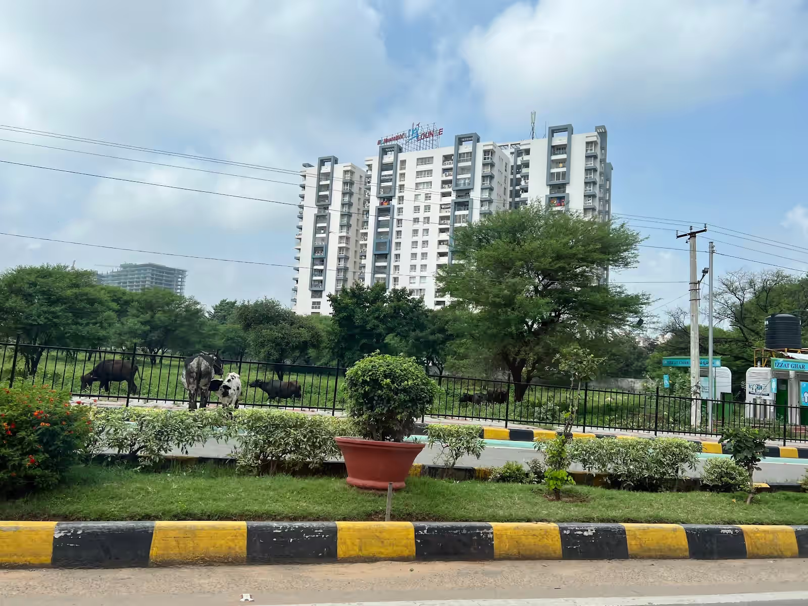 Meenakshi Sky Lounge image
