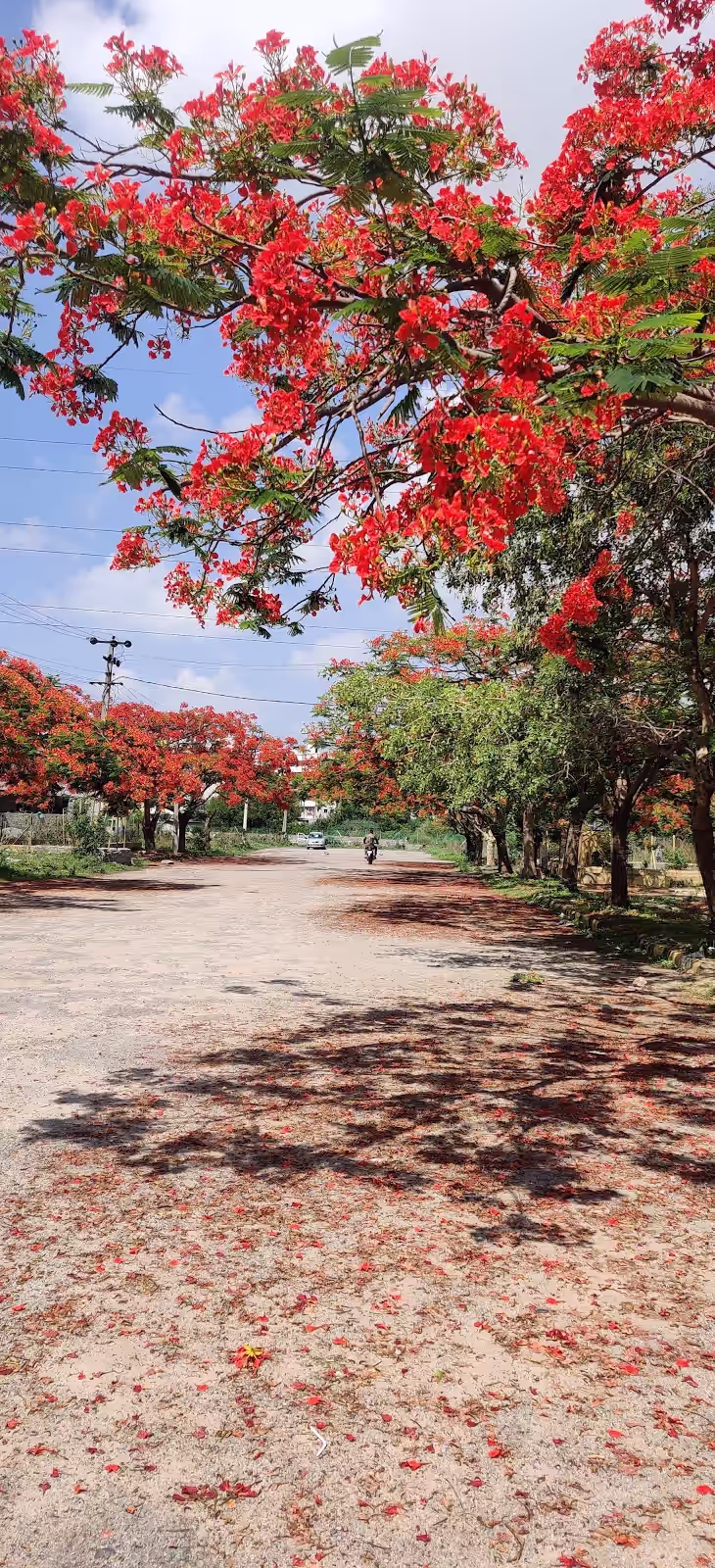 Mettakanigudem image