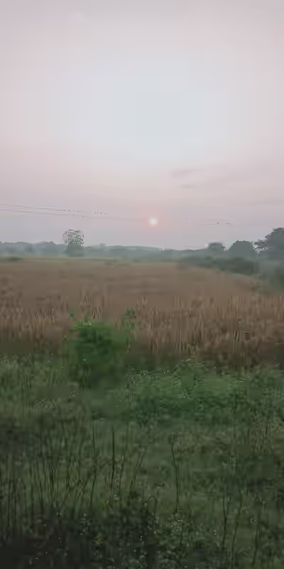 Mothukupalle image