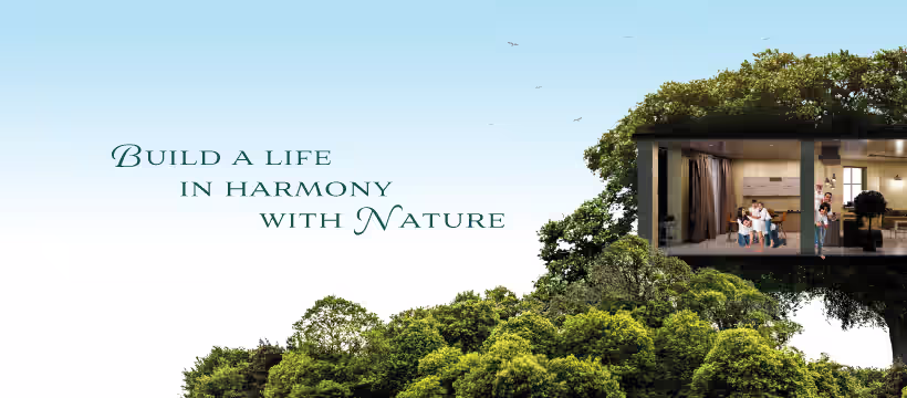 NNR Dreamscape Infra image