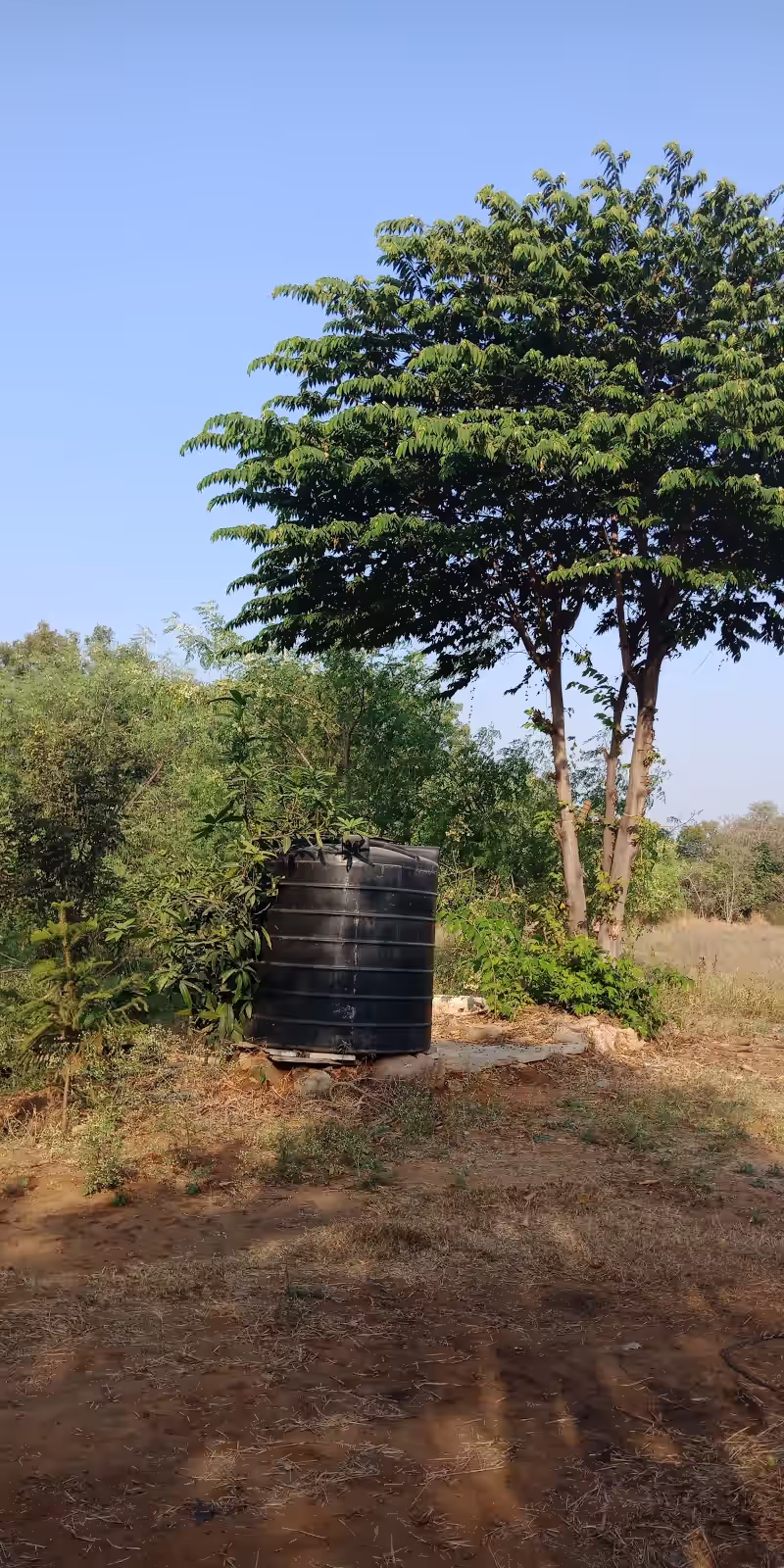 Nandigaon image