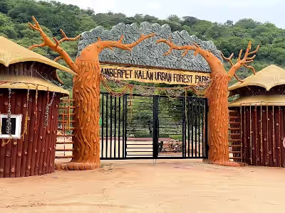 PeddaAmberpet Kalan Urban Forest Park image