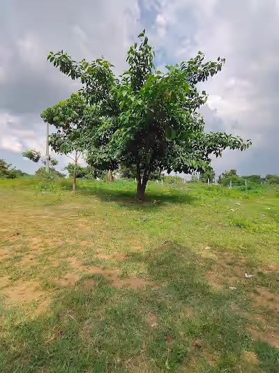Peddakanjerla image