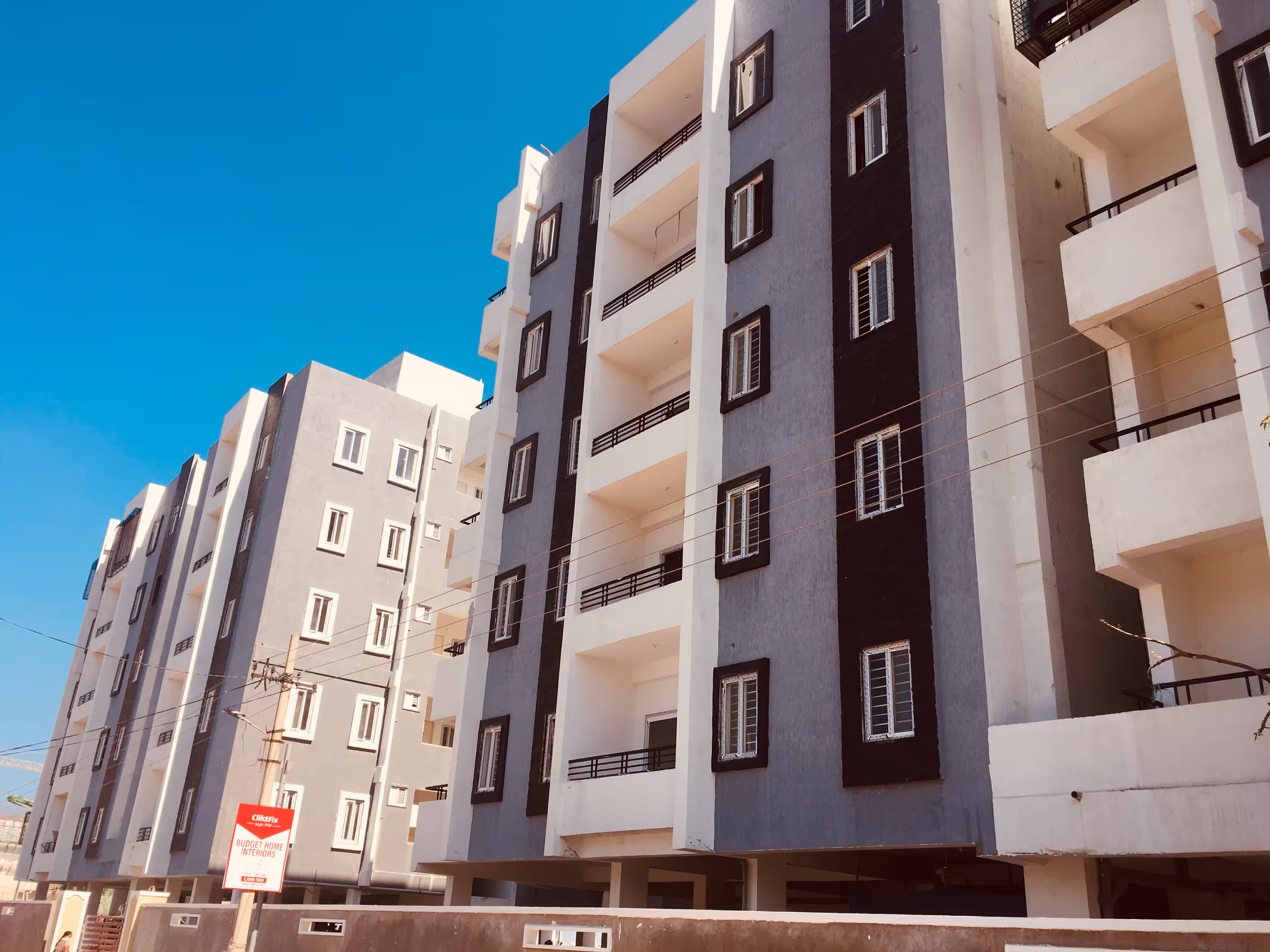 Pristine IVY Nest image