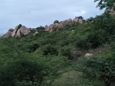 Ramalingampally image