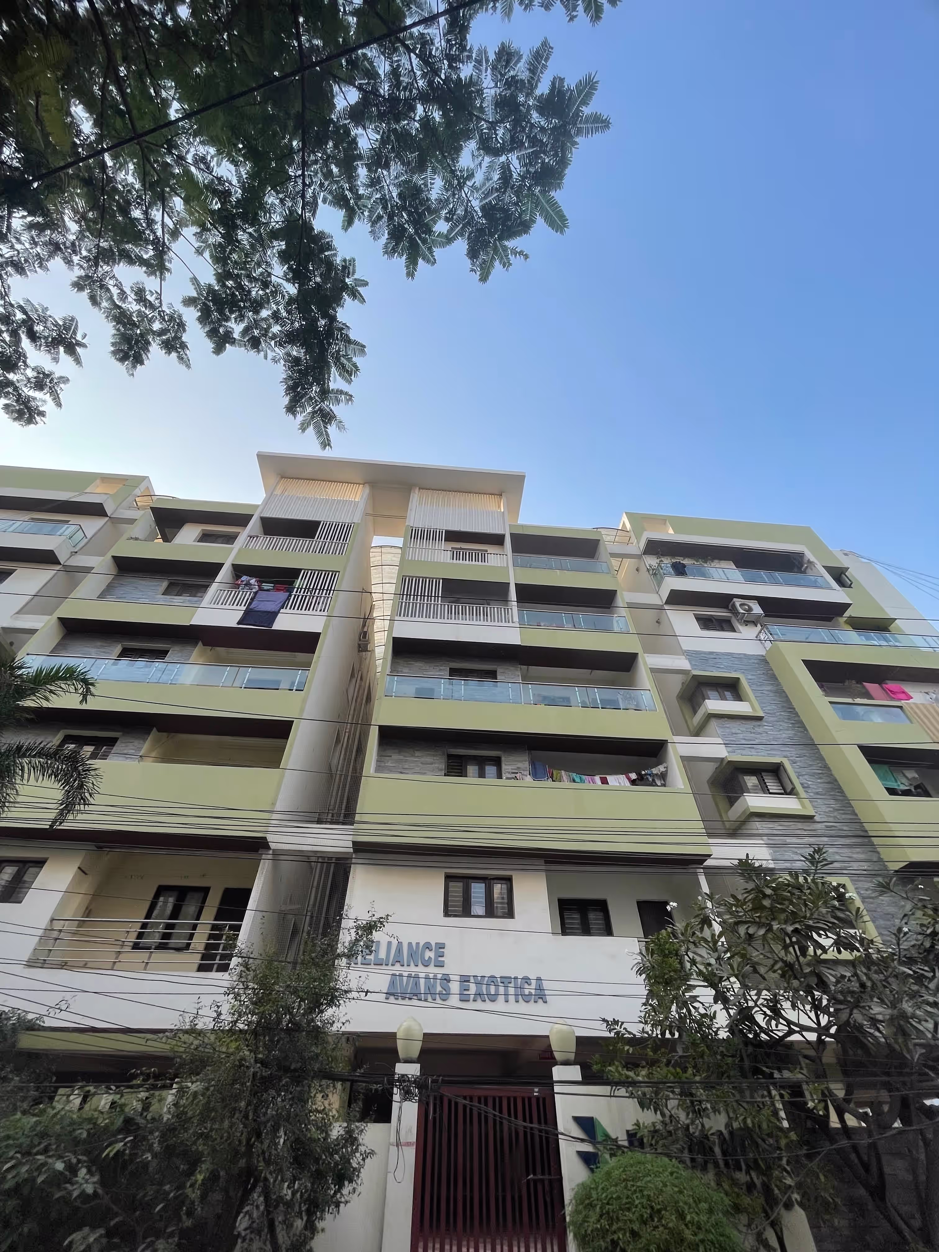 Reliance Reliance Avans Exotica image