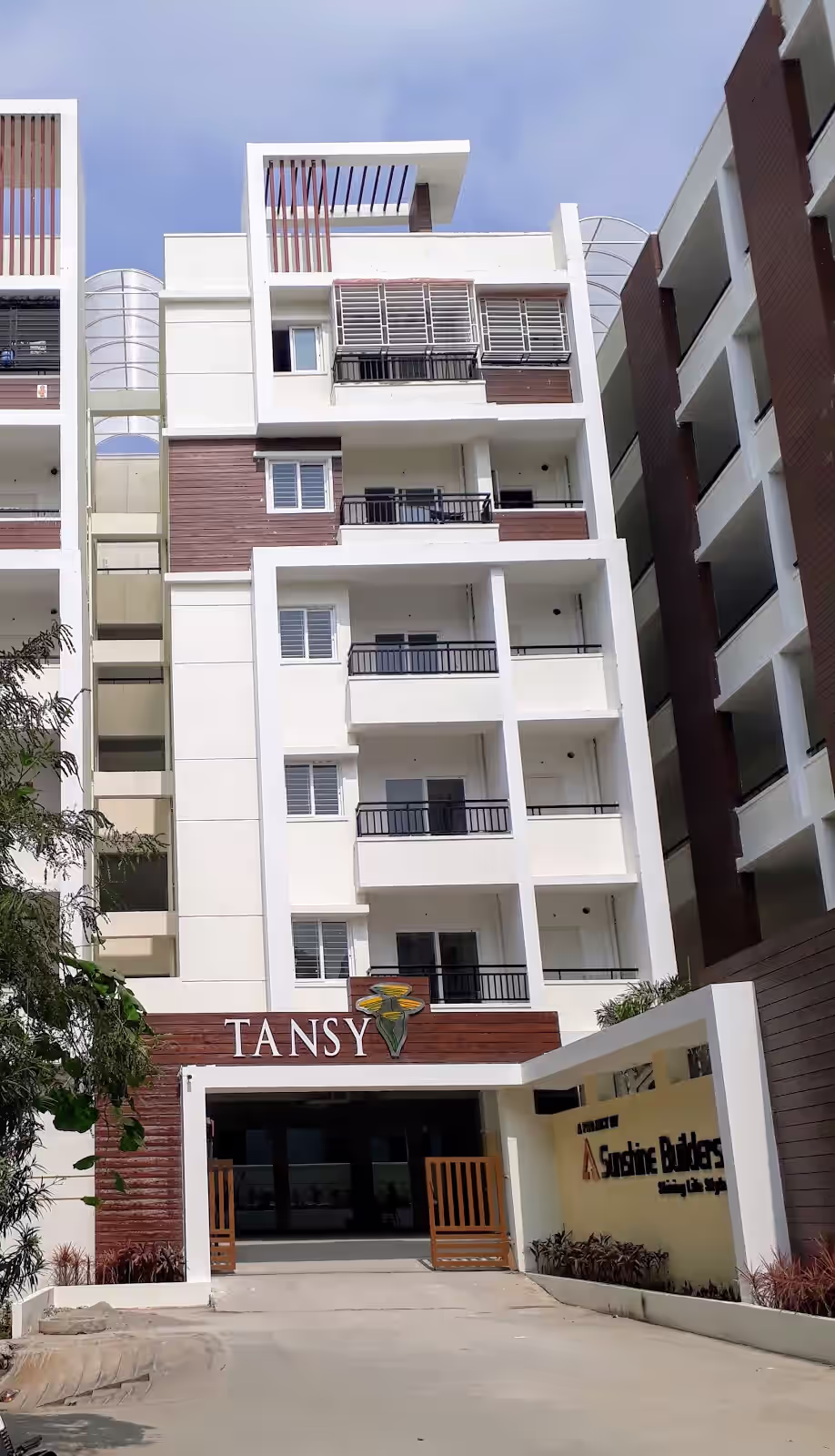 SUNSHINE TANSY By Sunshine Builders image