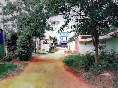 Sanghiguda image