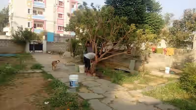 Shamshiguda image