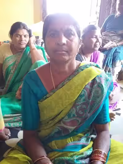 Sreenagar image