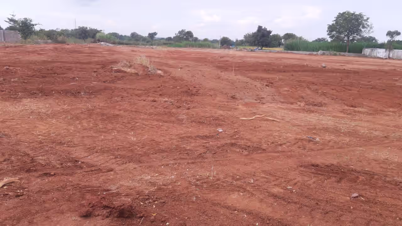 Srika Green Oasis image