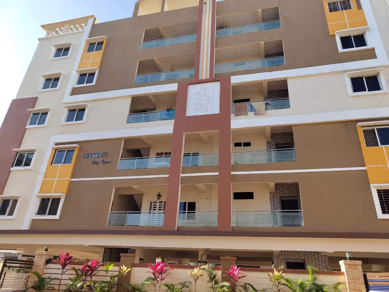 Swetha may flower image