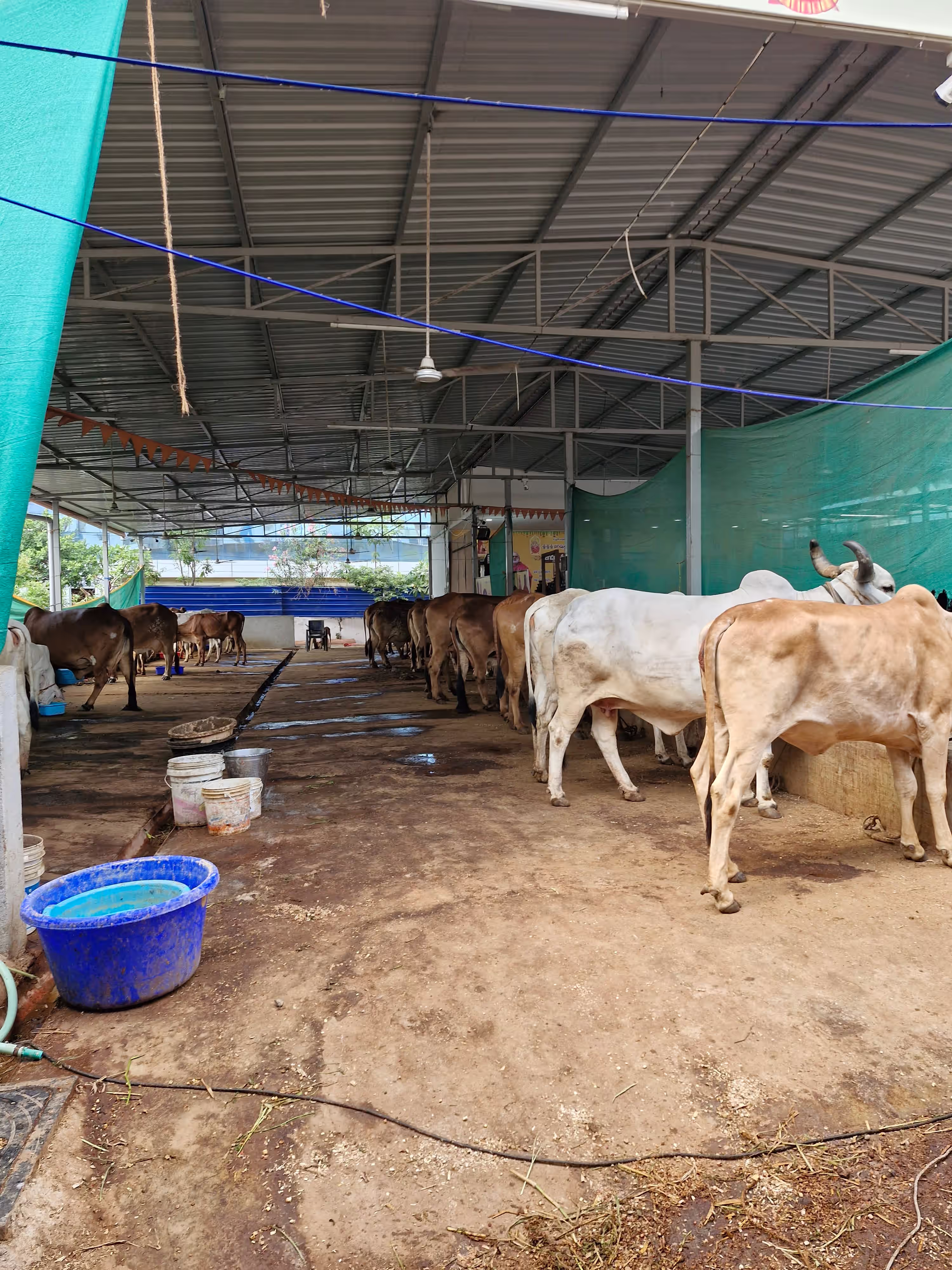 Tatvam Charitable Trust image