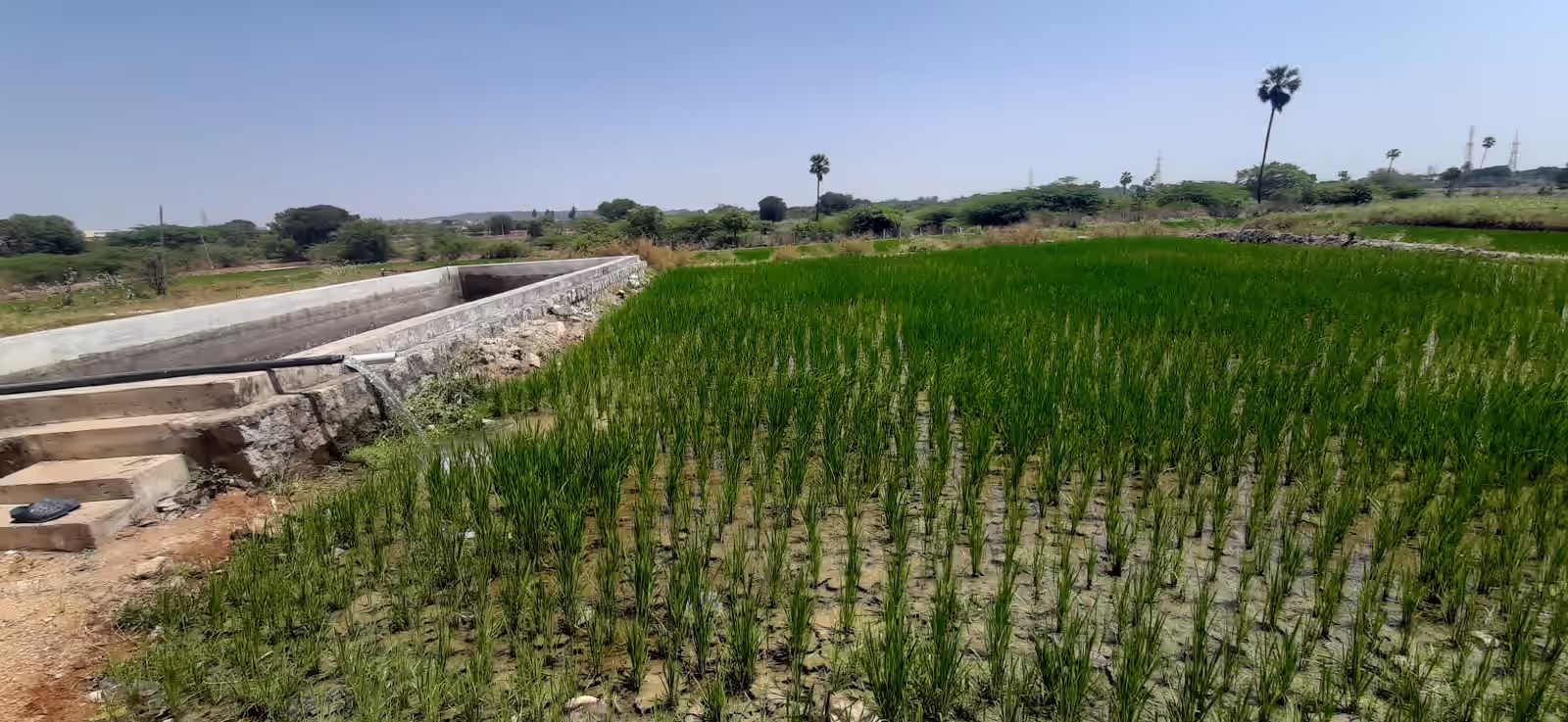 Thimmaipalli image