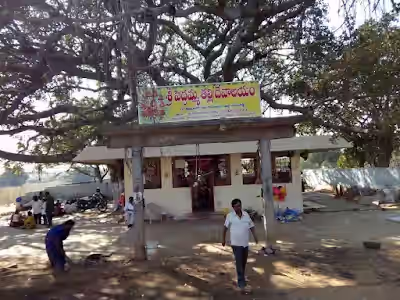 Thummaloor image