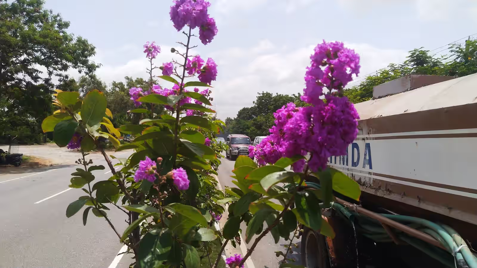 Thumukunta image
