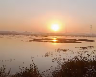 Tujalpur lake image