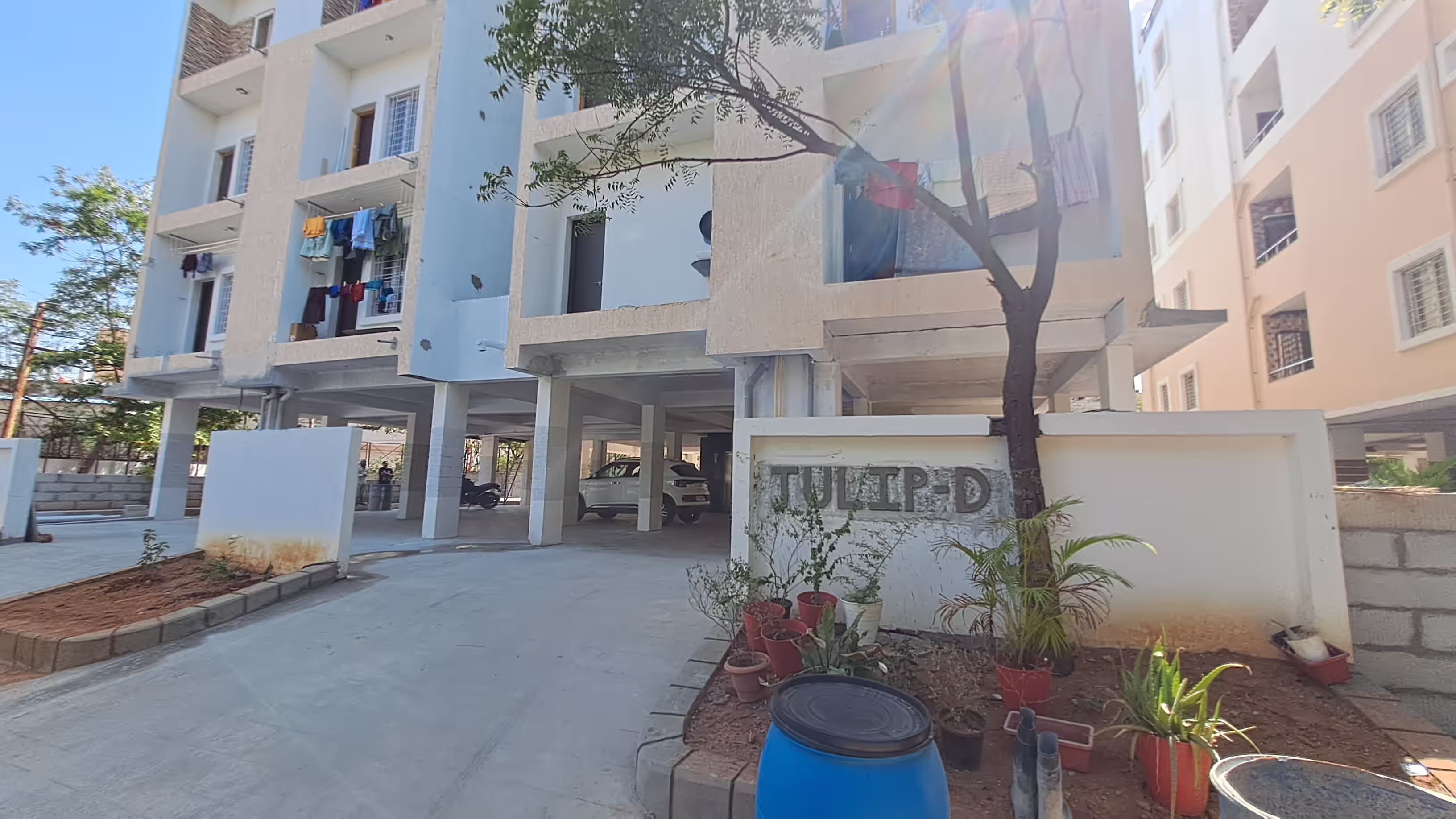 Tulip D star homes image
