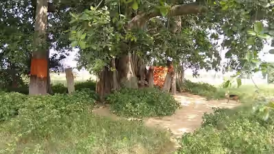 Tunkikhalsa image