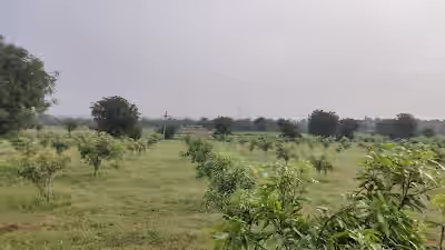 Uddamarri image