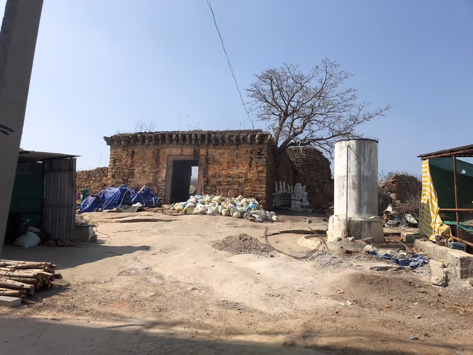 Yellampet image