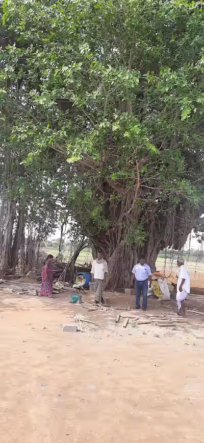 Yelwarthy image