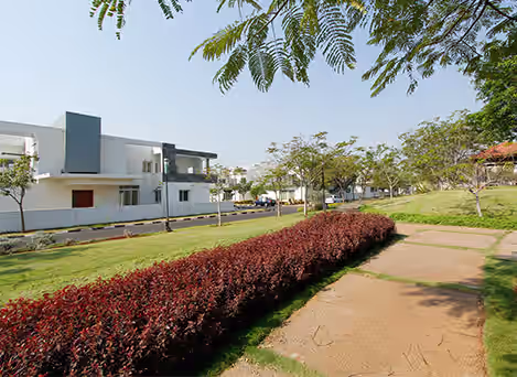 Ashoka A-la-Maison image