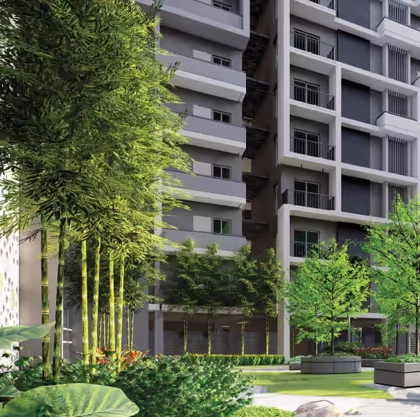 Manbhum Home Tree image