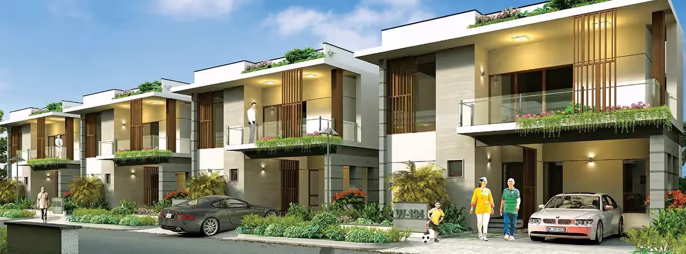 Preston Anvita's Amari image