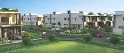 Preston Anvita's Amari image