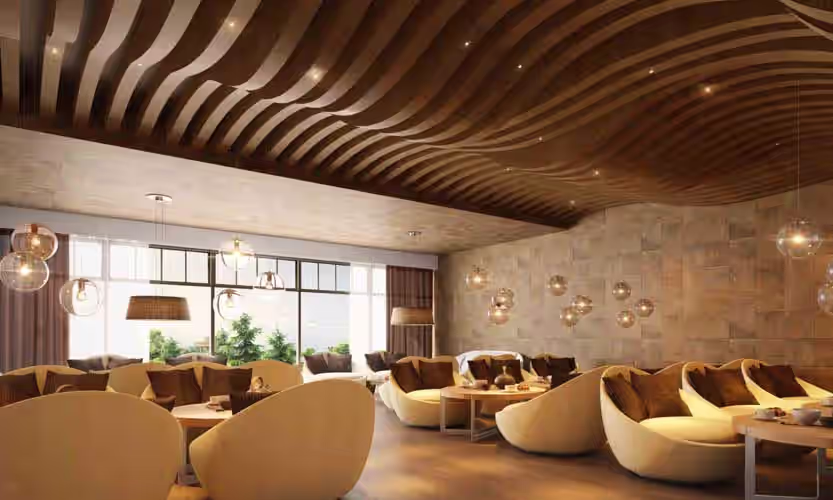 Preston Anvita's Amari image